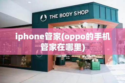 iphone管家(oppo的手机管家在哪里)-第1张图片-星选测评