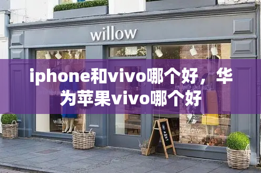 iphone和vivo哪个好，华为苹果vivo哪个好-第1张图片-星选测评