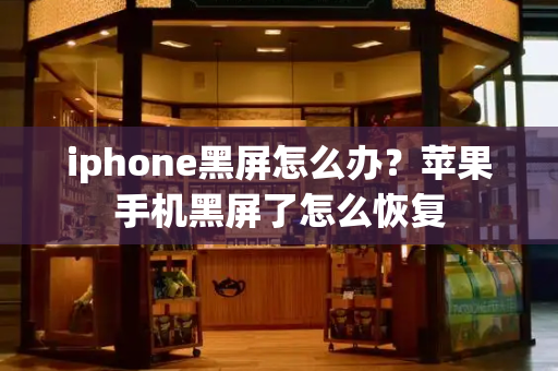 iphone黑屏怎么办？苹果手机黑屏了怎么恢复-第1张图片-星选测评