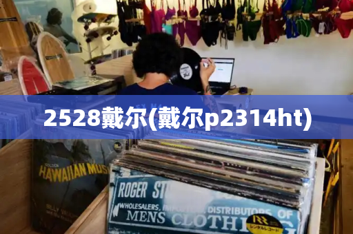 2528戴尔(戴尔p2314ht)