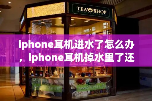 iphone耳机进水了怎么办，iphone耳机掉水里了还能用吗