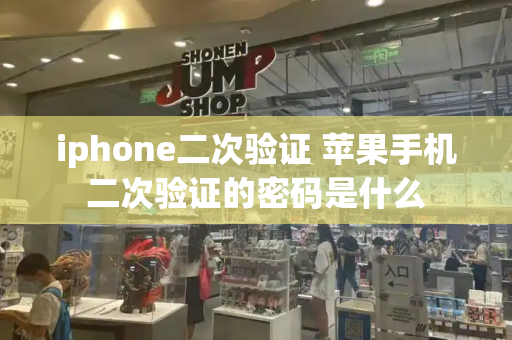 iphone二次验证 苹果手机二次验证的密码是什么-第1张图片-星选测评