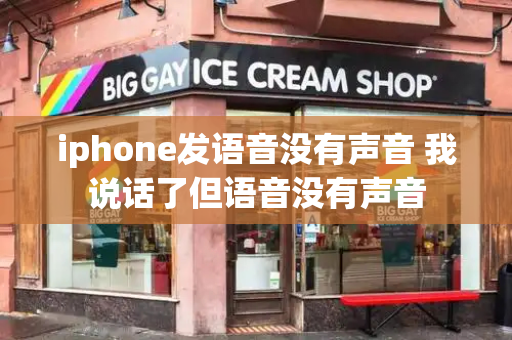 iphone发语音没有声音 我说话了但语音没有声音-第1张图片-星选测评