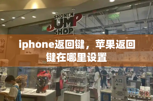 iphone返回键，苹果返回键在哪里设置-第1张图片-星选测评