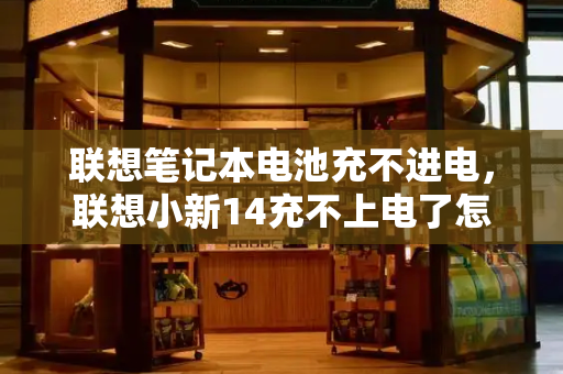 联想笔记本电池充不进电，联想小新14充不上电了怎么办