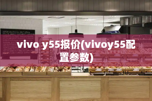 vivo y55报价(vivoy55配置参数)