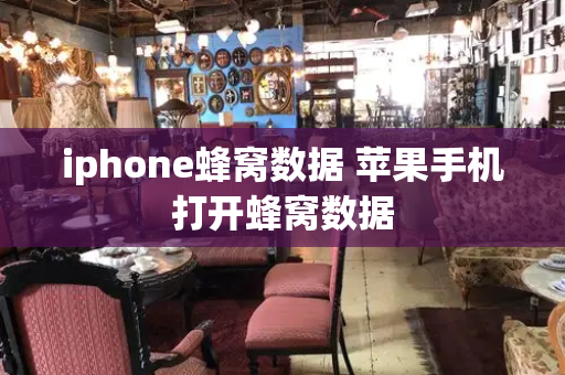 iphone蜂窝数据 苹果手机打开蜂窝数据-第1张图片-星选测评