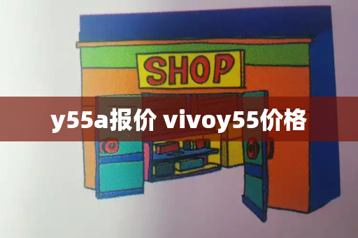 y55a报价 vivoy55价格