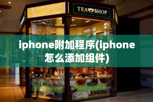 iphone附加程序(iphone怎么添加组件)-第1张图片-星选测评