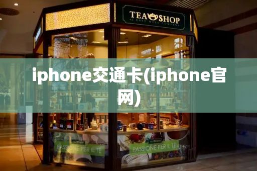 iphone交通卡(iphone官网)-第1张图片-星选测评