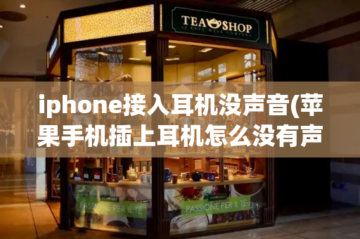 iphone接入耳机没声音(苹果手机插上耳机怎么没有声音)-第1张图片-星选测评