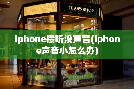 iphone接听没声音(iphone声音小怎么办)-第1张图片-星选测评