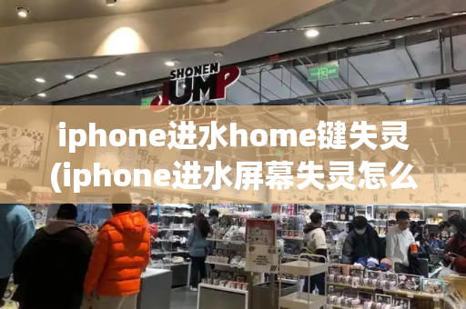 iphone进水home键失灵(iphone进水屏幕失灵怎么办)-第1张图片-星选测评