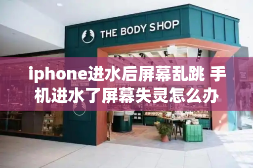 iphone进水后屏幕乱跳 手机进水了屏幕失灵怎么办-第1张图片-星选测评