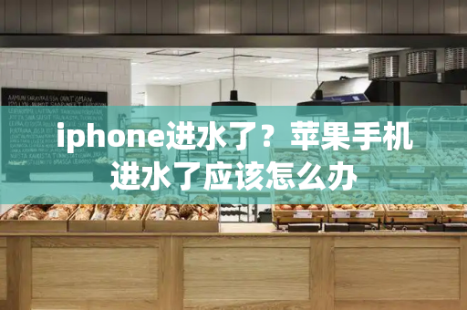 iphone进水了？苹果手机进水了应该怎么办-第1张图片-星选测评