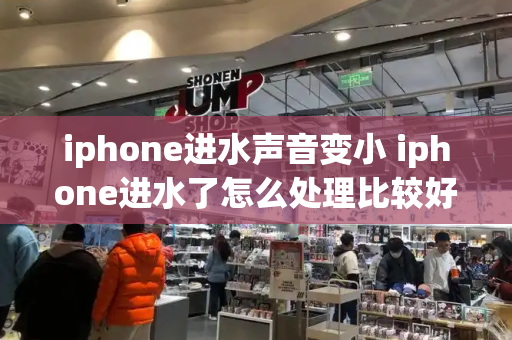 iphone进水声音变小 iphone进水了怎么处理比较好