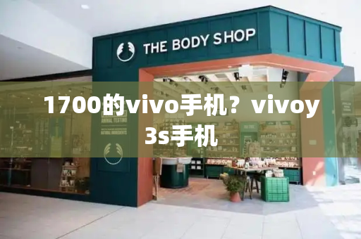 1700的vivo手机？vivoy3s手机