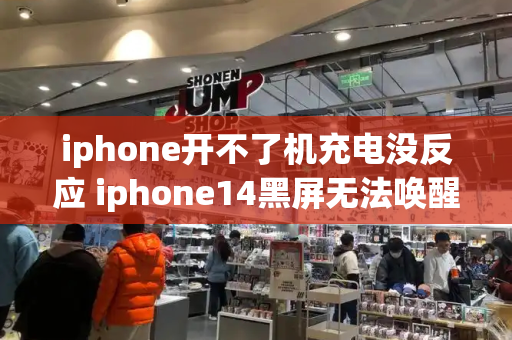 iphone开不了机充电没反应 iphone14黑屏无法唤醒