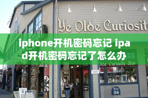 iphone开机密码忘记 ipad开机密码忘记了怎么办-第1张图片-星选测评