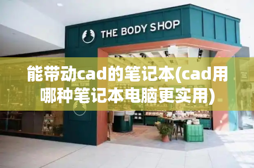 能带动cad的笔记本(cad用哪种笔记本电脑更实用)