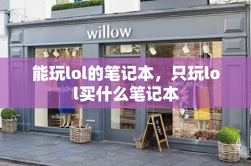能玩lol的笔记本，只玩lol买什么笔记本-第1张图片-星选测评