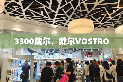 3300戴尔，戴尔VOSTRO