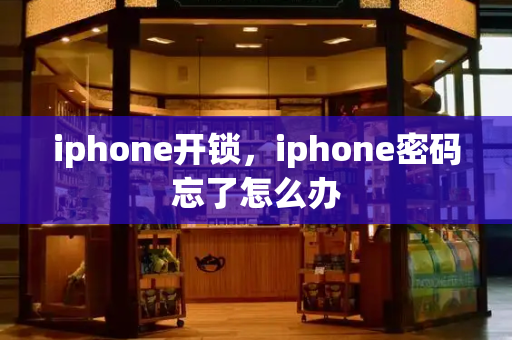 iphone开锁，iphone密码忘了怎么办-第1张图片-星选测评