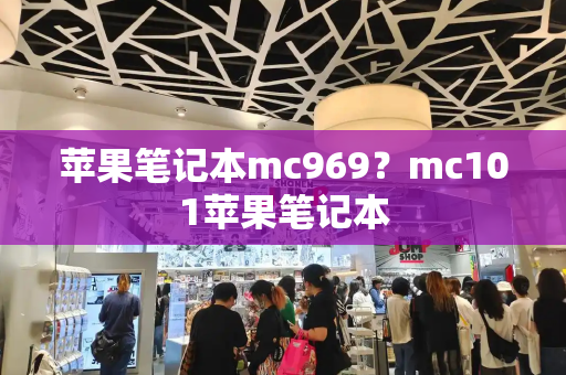 苹果笔记本mc969？mc101苹果笔记本-第1张图片-星选测评