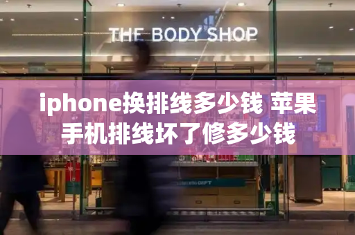 iphone换排线多少钱 苹果手机排线坏了修多少钱-第1张图片-星选测评