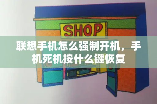 联想手机怎么强制开机，手机死机按什么键恢复-第1张图片-星选测评