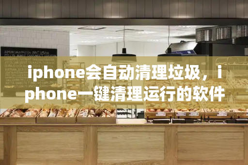 iphone会自动清理垃圾，iphone一键清理运行的软件-第1张图片-星选测评