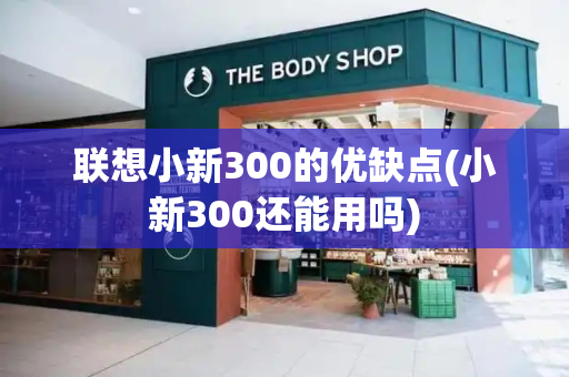 联想小新300的优缺点(小新300还能用吗)-第1张图片-星选测评