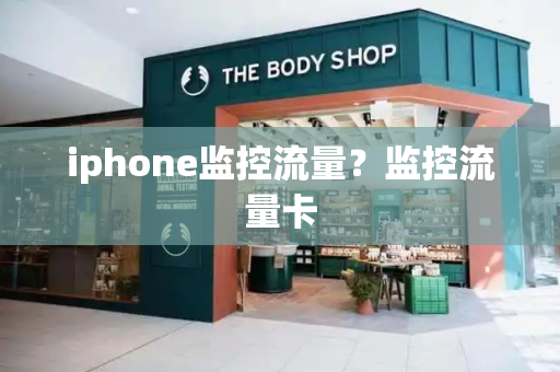 iphone监控流量？监控流量卡-第1张图片-星选测评