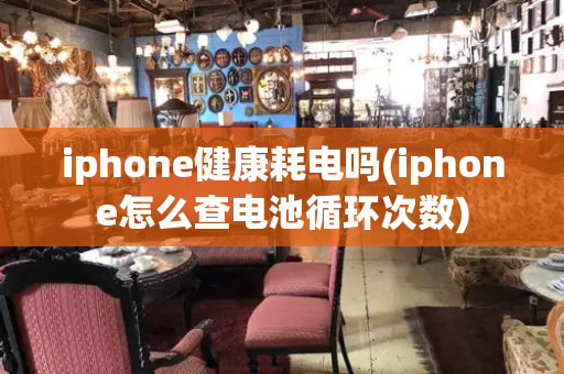 iphone健康耗电吗(iphone怎么查电池循环次数)-第1张图片-星选测评