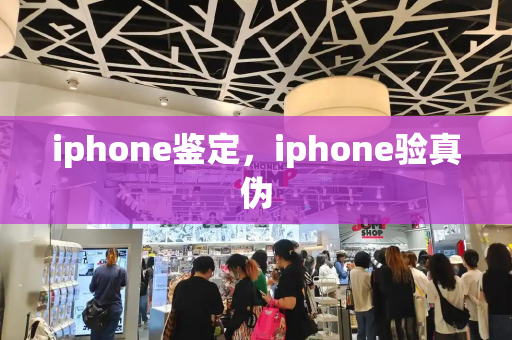 iphone鉴定，iphone验真伪-第1张图片-星选测评