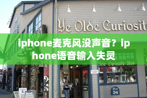 iphone麦克风没声音？iphone语音输入失灵-第1张图片-星选测评