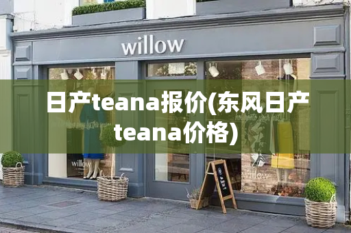 日产teana报价(东风日产teana价格)-第1张图片-星选值得买