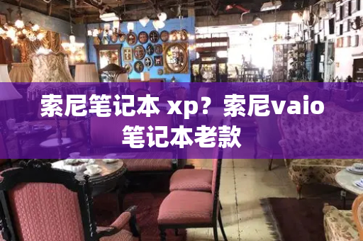 索尼笔记本 xp？索尼vaio笔记本老款-第1张图片-星选测评