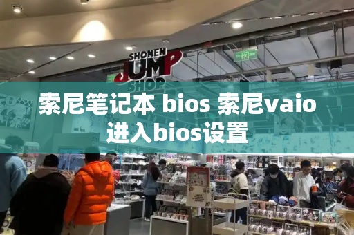 索尼笔记本 bios 索尼vaio进入bios设置-第1张图片-星选测评