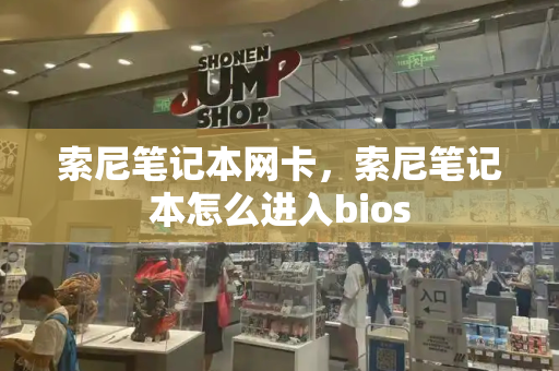 索尼笔记本网卡，索尼笔记本怎么进入bios-第1张图片-星选测评