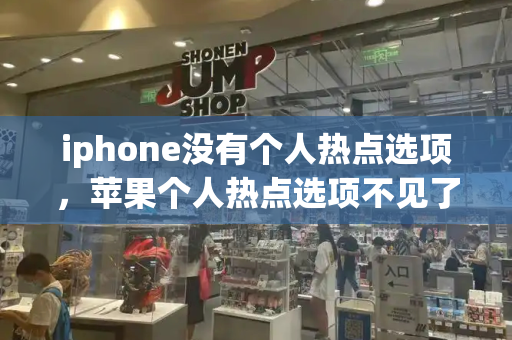 iphone没有个人热点选项，苹果个人热点选项不见了