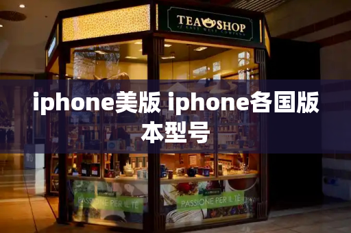 iphone美版 iphone各国版本型号-第1张图片-星选测评