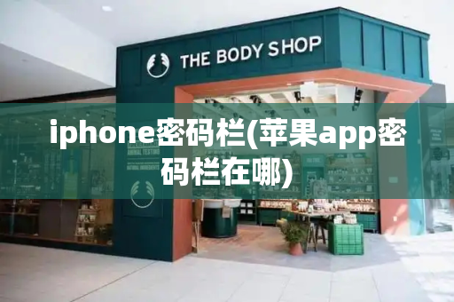 iphone密码栏(苹果app密码栏在哪)-第1张图片-星选测评