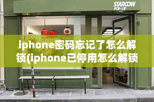 iphone密码忘记了怎么解锁(iphone已停用怎么解锁教程)-第1张图片-星选测评