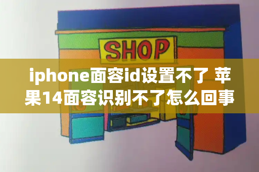 iphone面容id设置不了 苹果14面容识别不了怎么回事