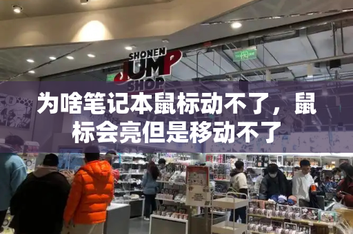 为啥笔记本鼠标动不了，鼠标会亮但是移动不了