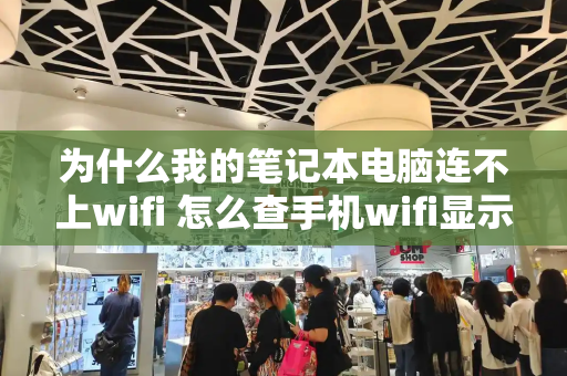 为什么我的笔记本电脑连不上wifi 怎么查手机wifi显示密码