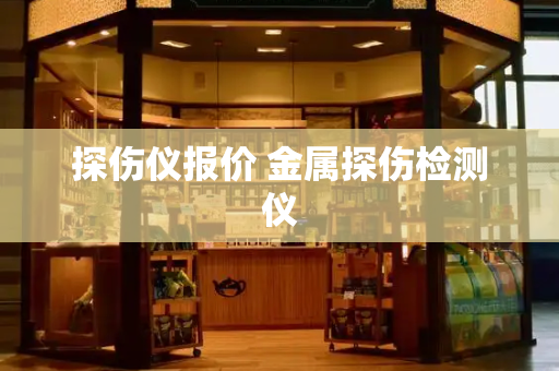 探伤仪报价 金属探伤检测仪