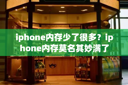 iphone内存少了很多？iphone内存莫名其妙满了-第1张图片-星选测评