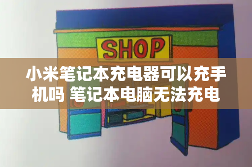 小米笔记本充电器可以充手机吗 笔记本电脑无法充电充不进电-第1张图片-星选测评